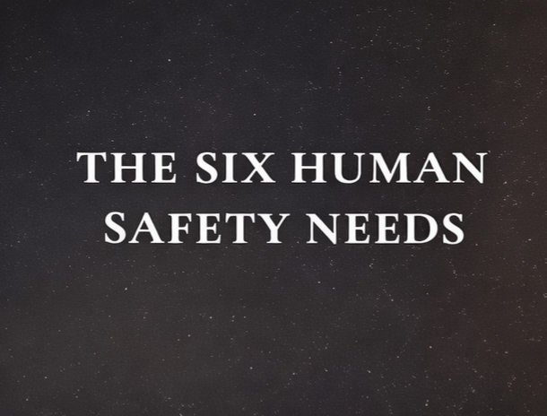 The 6 human safety needs